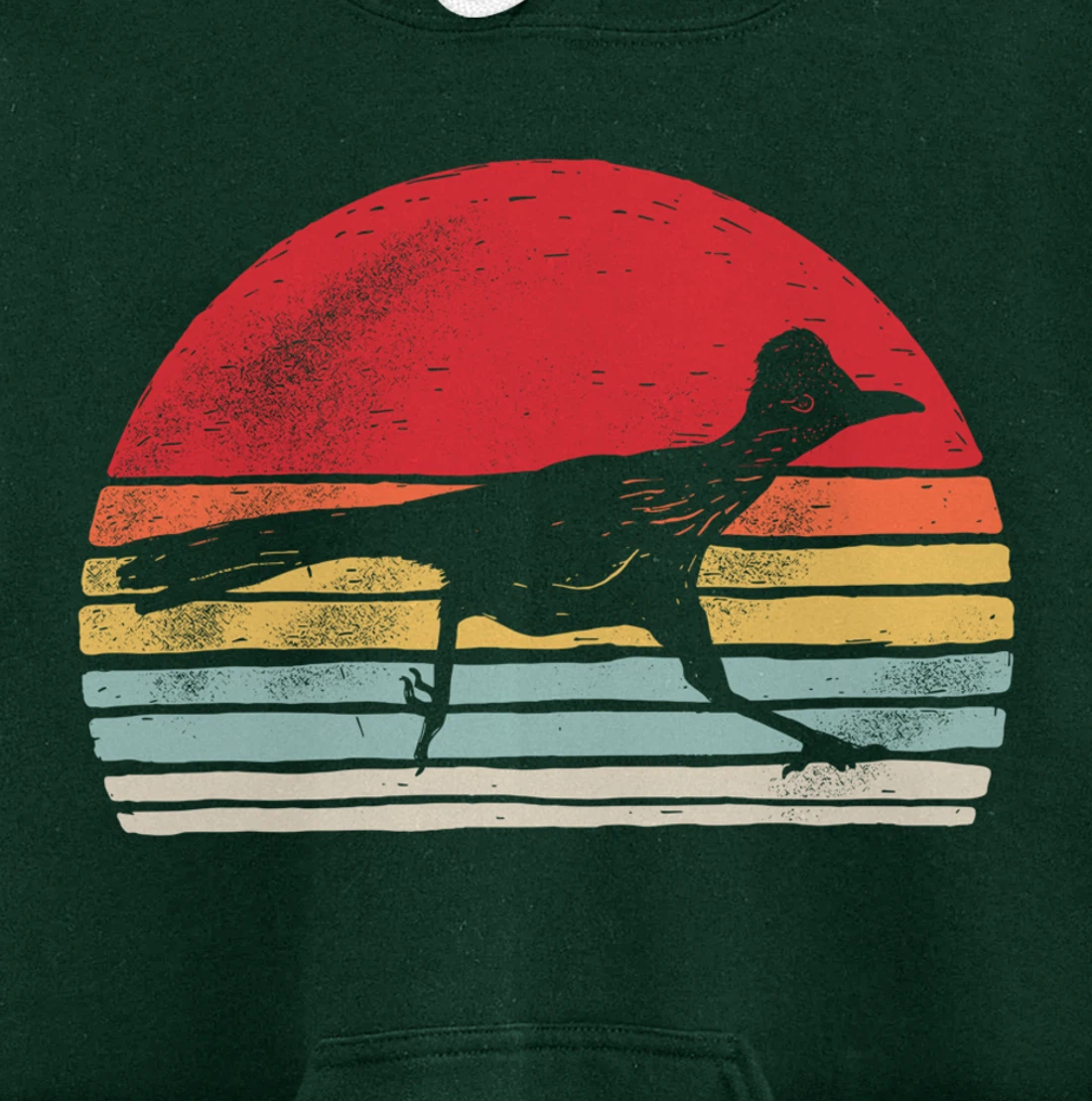 Vintage Retro Roadrunner Shirt Animal Lover Gift Pullover Hoodie