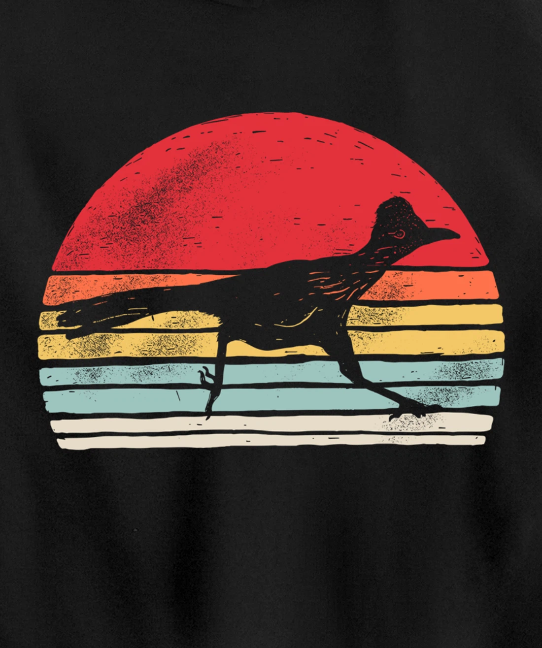 Vintage Retro Roadrunner Shirt Animal Lover Gift Pullover Hoodie