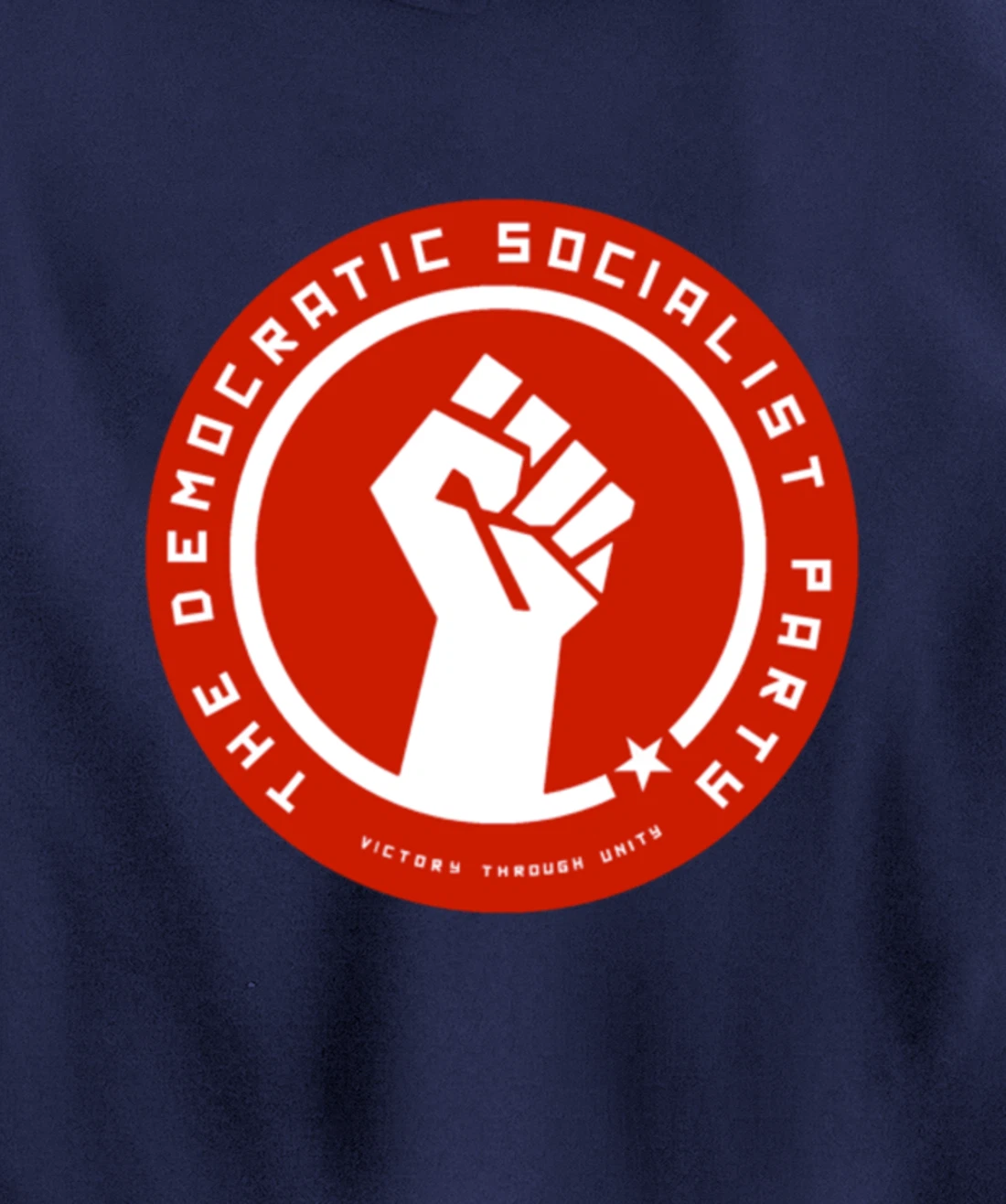The Democratic Socialist Party Pullover Hoodie