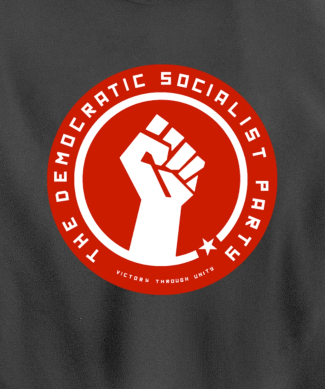 The Democratic Socialist Party Pullover Hoodie