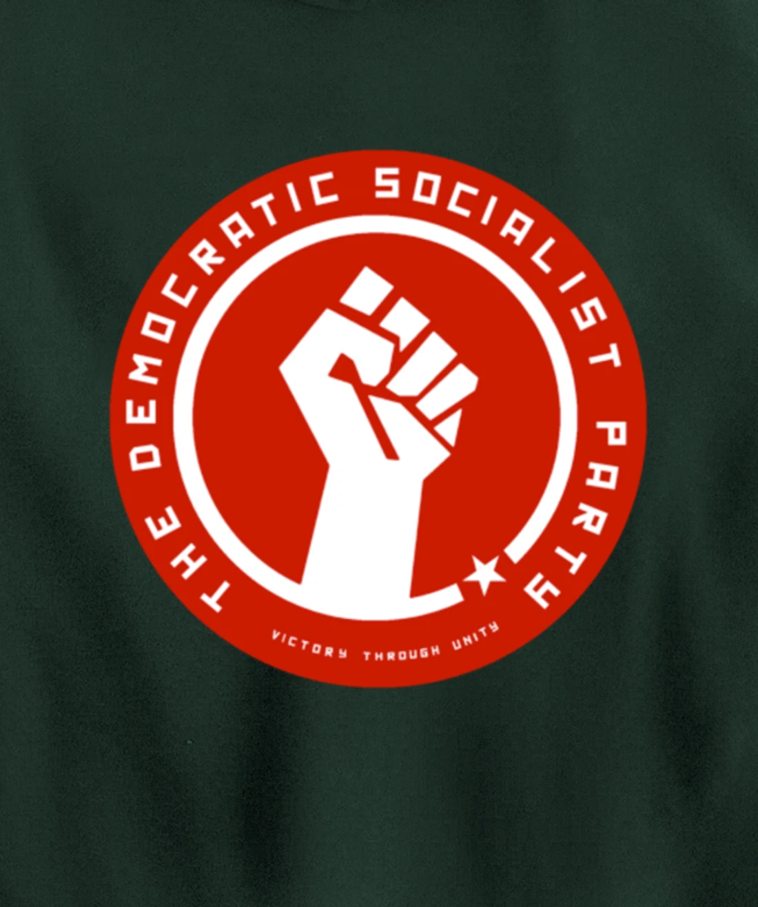 The Democratic Socialist Party Pullover Hoodie