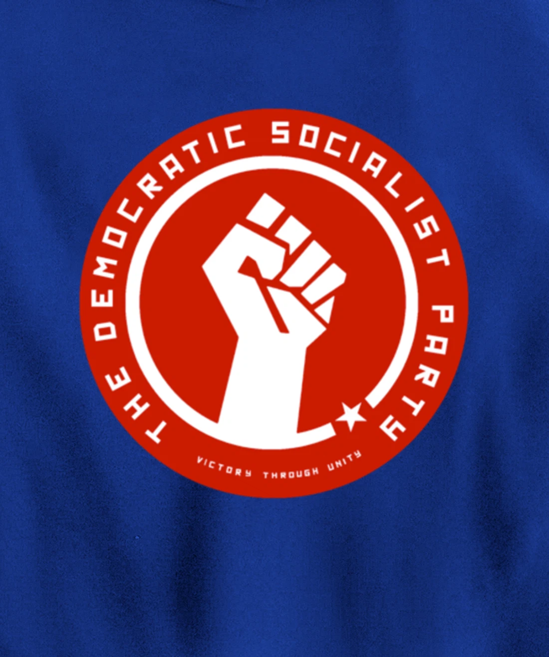 The Democratic Socialist Party Pullover Hoodie
