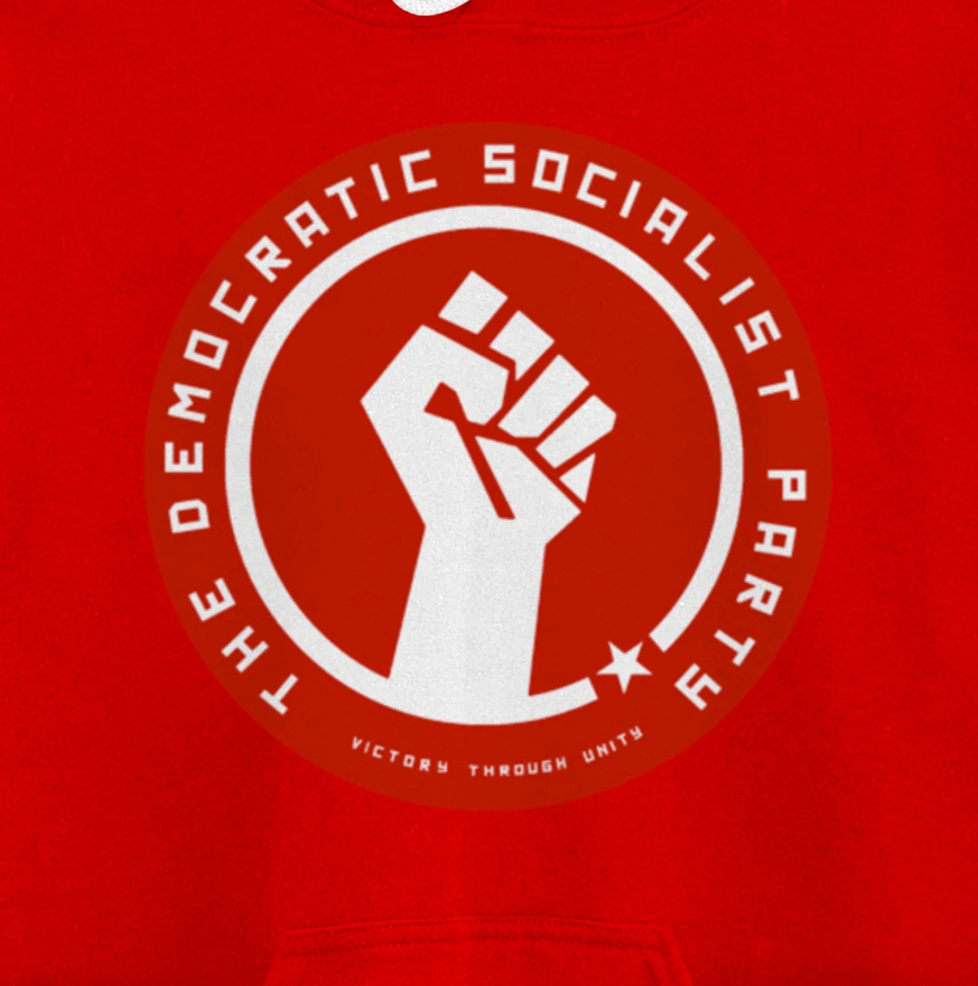 The Democratic Socialist Party Pullover Hoodie