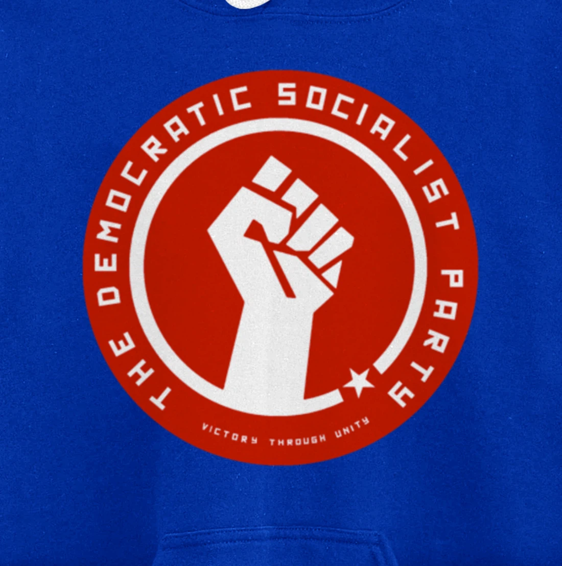 The Democratic Socialist Party Pullover Hoodie