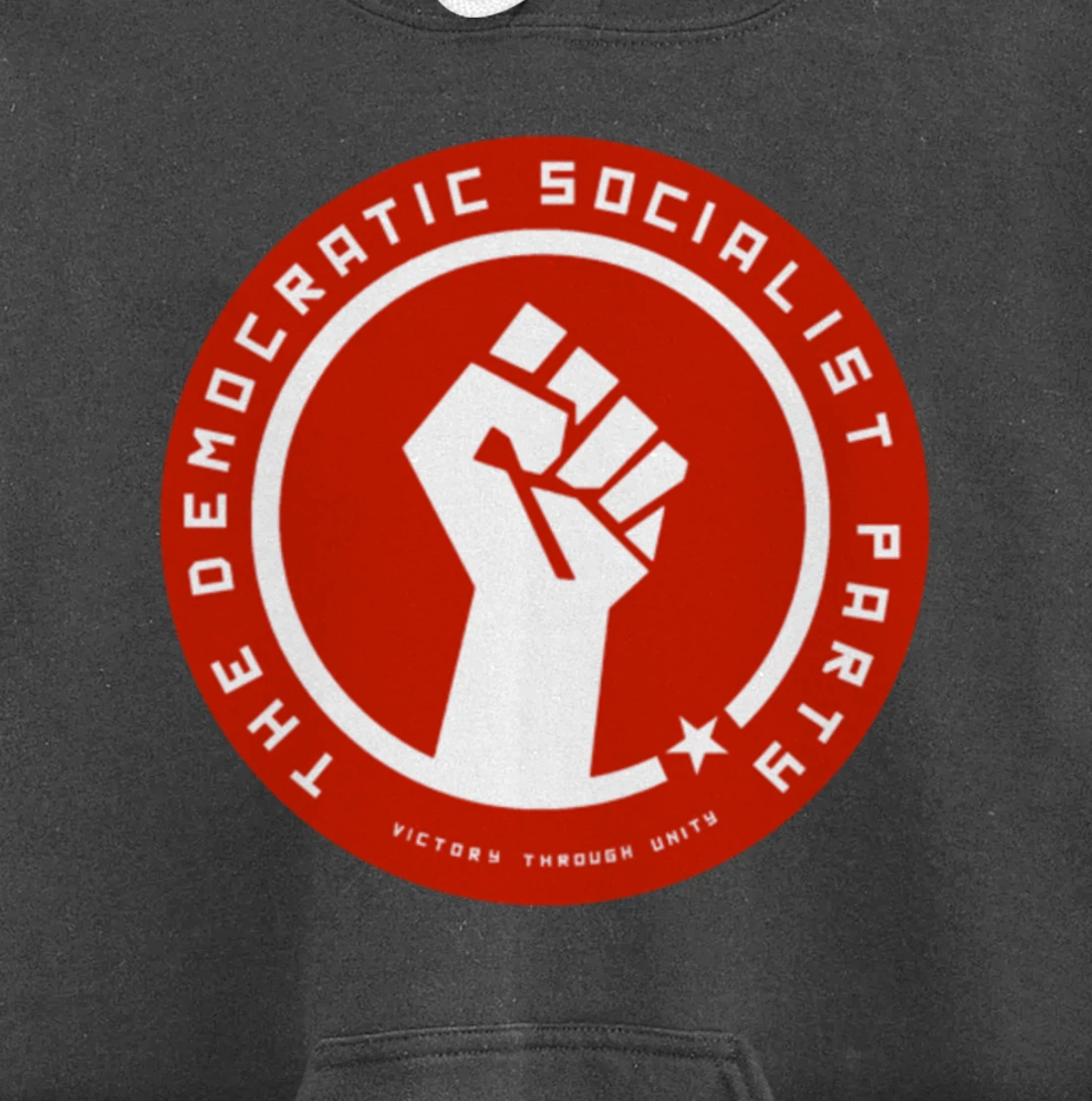 The Democratic Socialist Party Pullover Hoodie