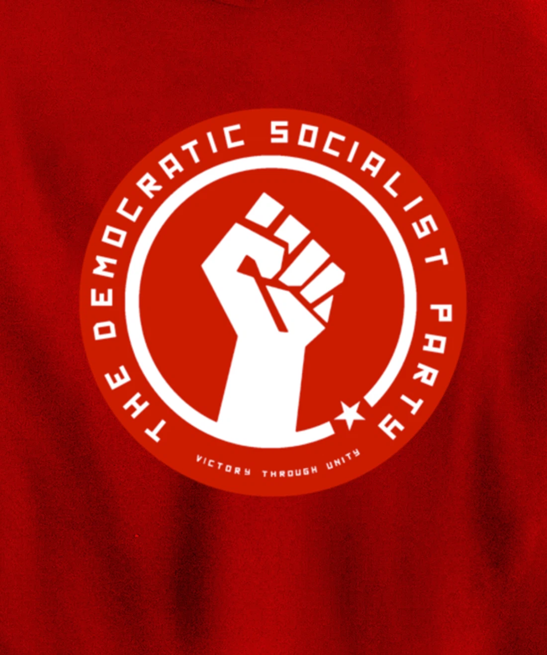The Democratic Socialist Party Pullover Hoodie