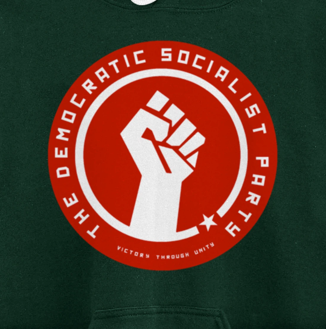 The Democratic Socialist Party Pullover Hoodie