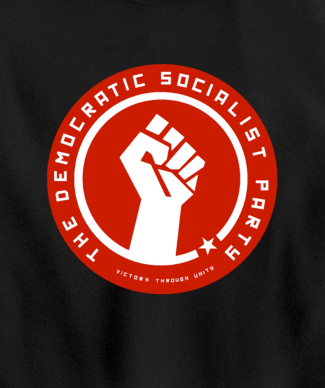 The Democratic Socialist Party Pullover Hoodie