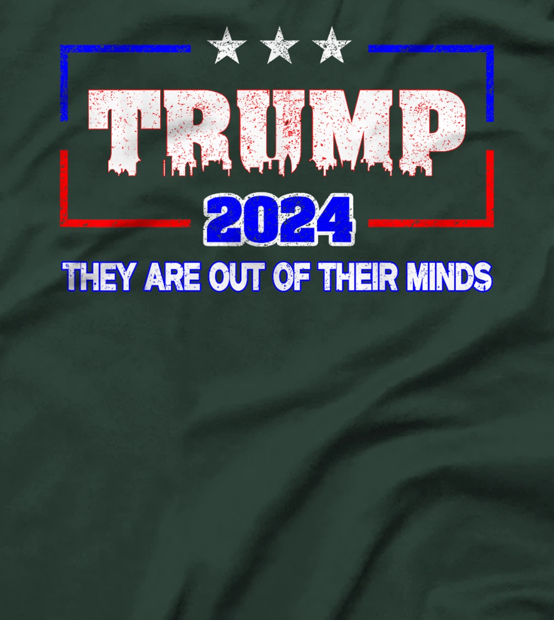 Trump 2024 Vote Trump Election They Are Out Of Their Minds T-Shirt