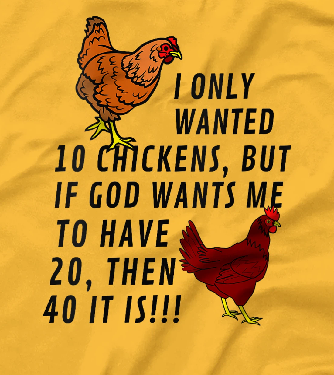 Womens I Only Wanted 10 Chickens Funny Farm God Cute Chickens T-Shirt