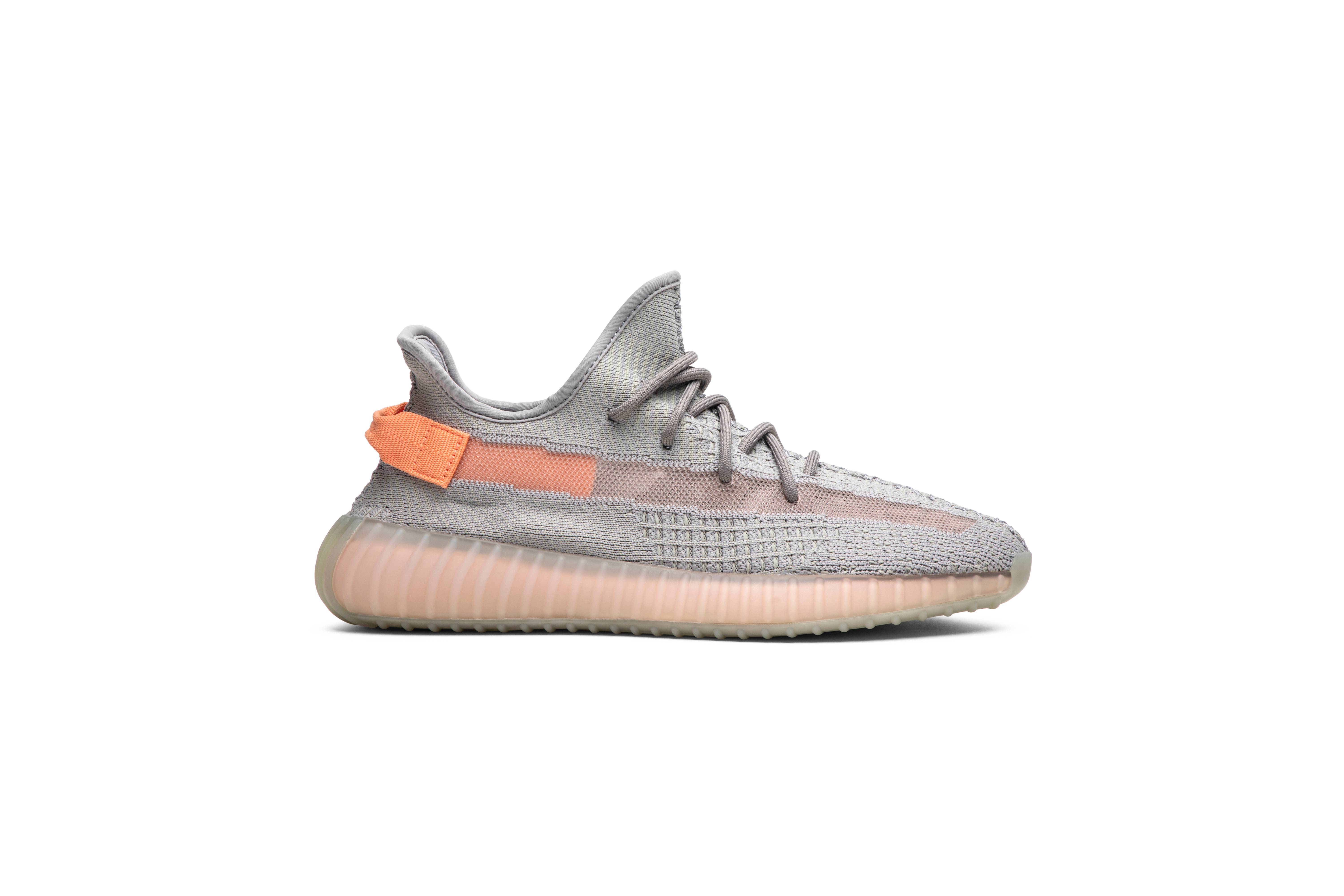 Adidas Yeezy Boost 350 V2 True Form EG7492