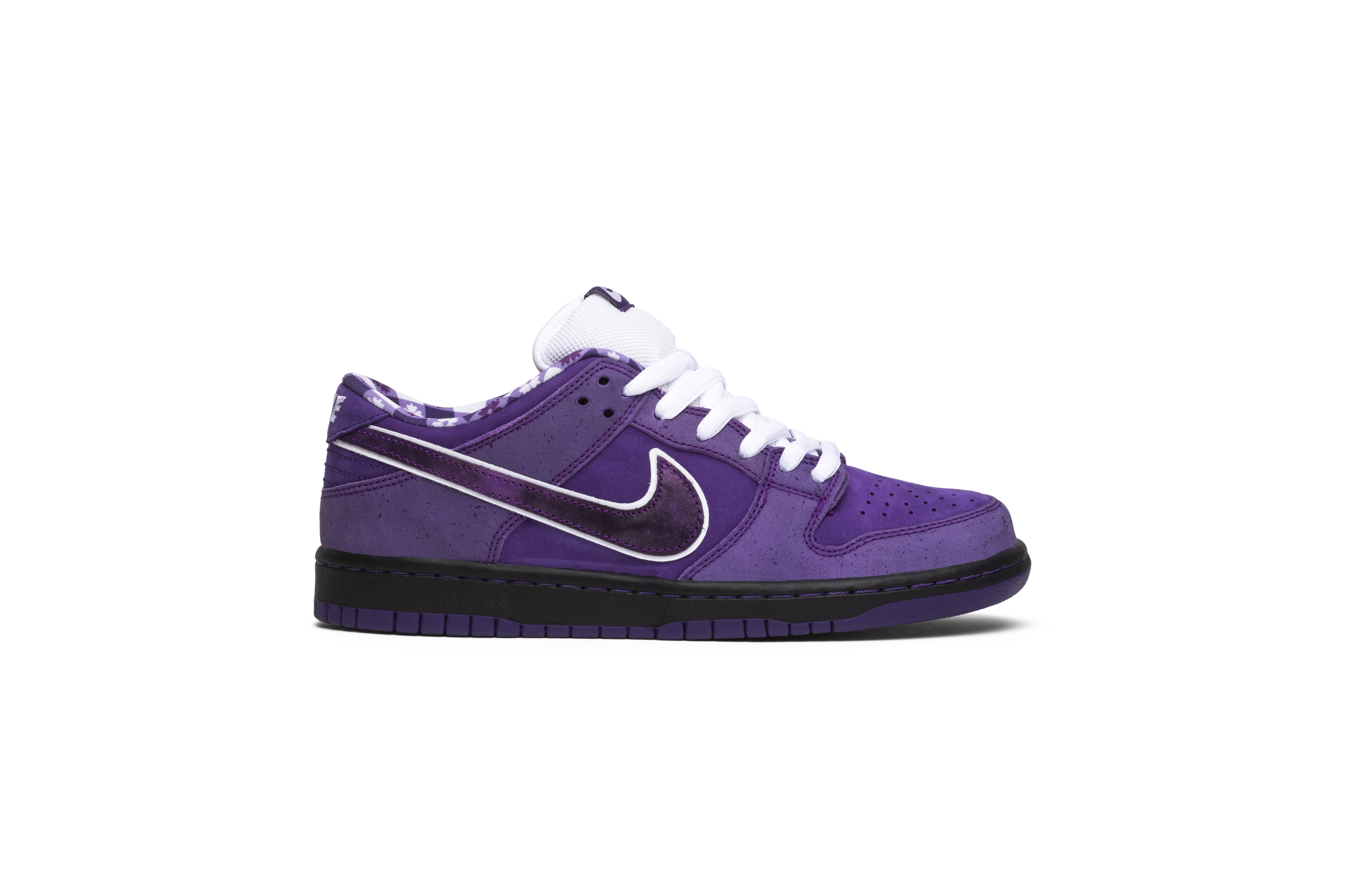 Concepts X Nike SB Dunk Low Purple Lobster BV1310-555